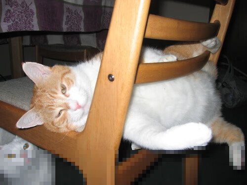 华体会登录-时空裂隙中的对决,当深圳队遇见开拓者,切特的冠军预演 第1张 华体会登录-时空裂隙中的对决,当深圳队遇见开拓者,切特的冠军预演 第1张