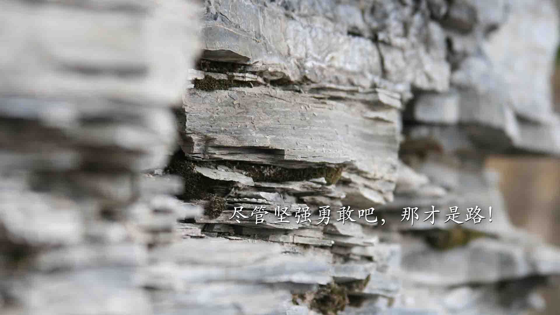 华体会登陆-枫叶红过葡萄藤,2026世界杯F组惊天战,加拿大横扫葡萄牙,孙兴慜独舞成最耀眼星光 第1张 华体会登陆-枫叶红过葡萄藤,2026世界杯F组惊天战,加拿大横扫葡萄牙,孙兴慜独舞成最耀眼星光 第1张